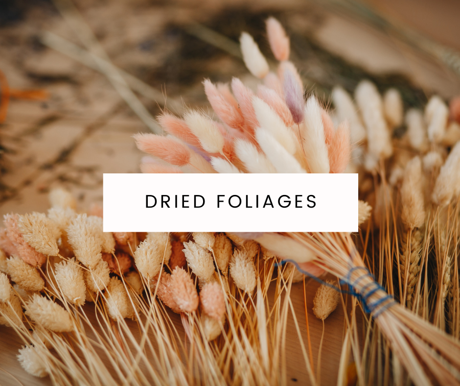 Dried Foliage and Stems