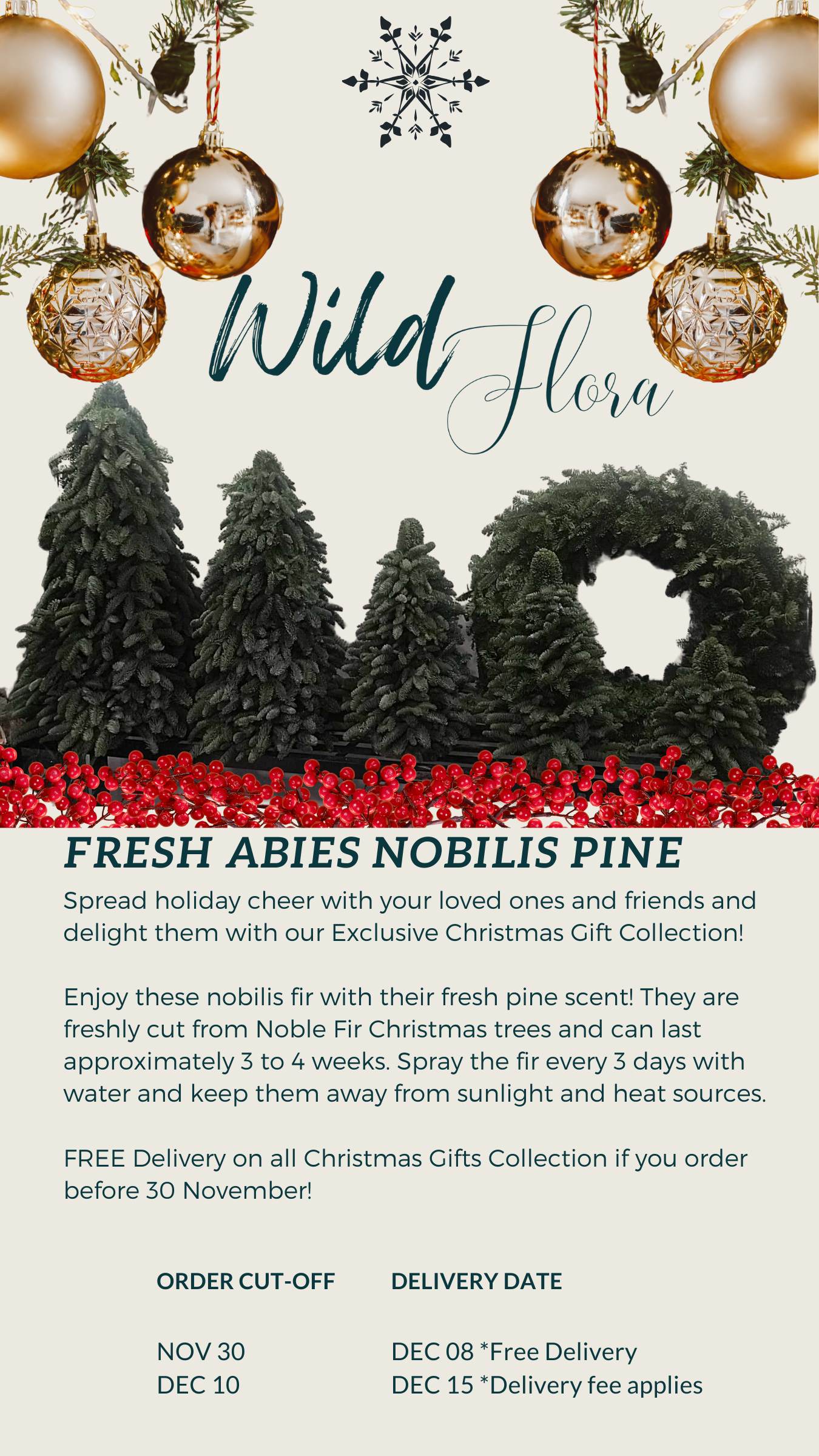 Fresh Abies Nobilis Pine