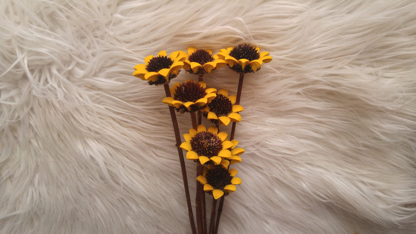 Small Sunflower