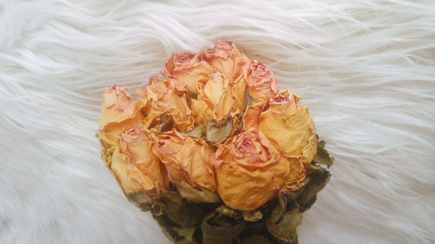 Dried Roses