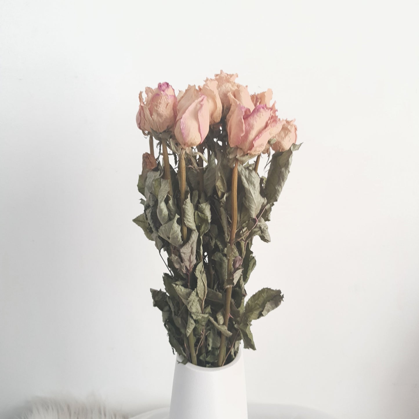 Dried Roses