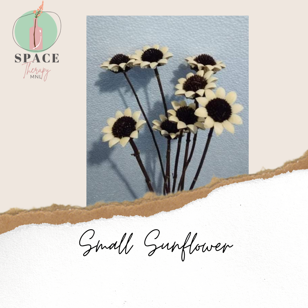 Small Sunflower