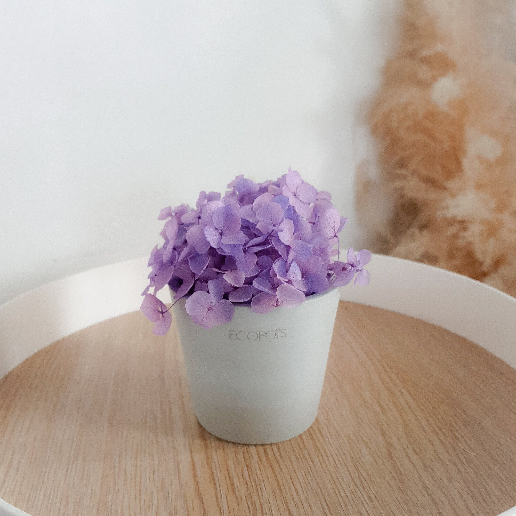 Purple Hydrangeas Petite Posy Pot