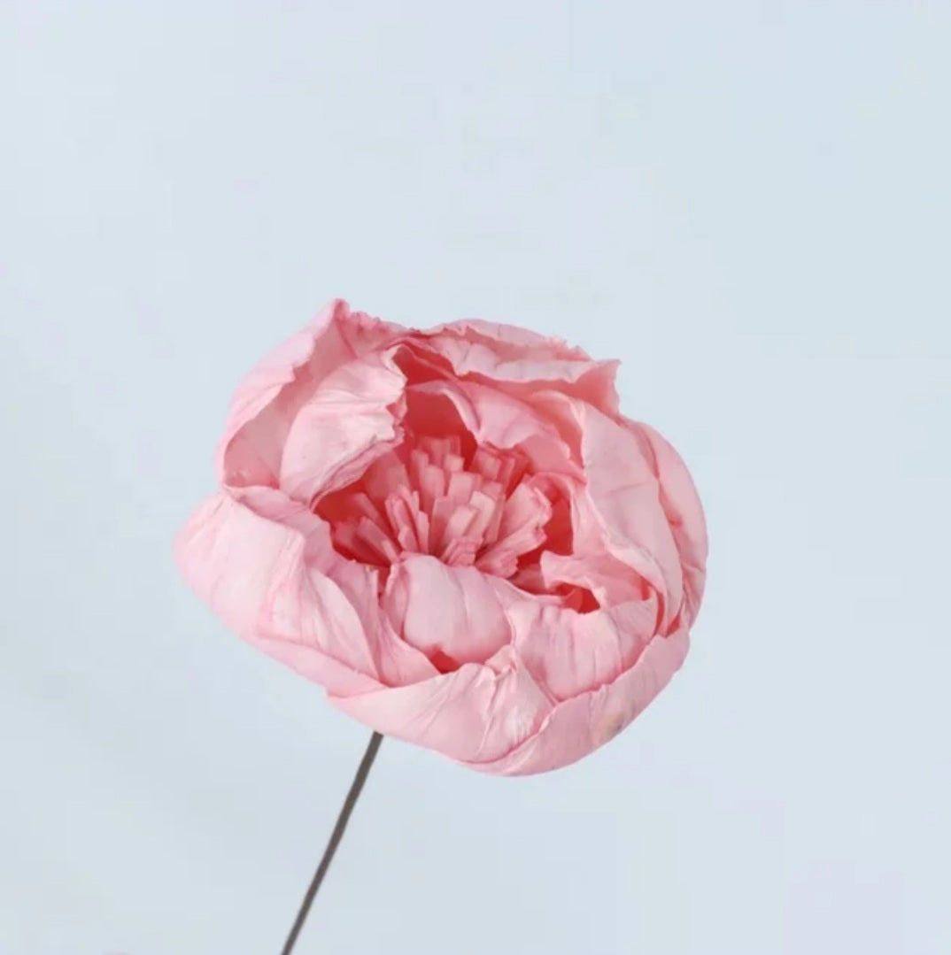Handmade Peony
