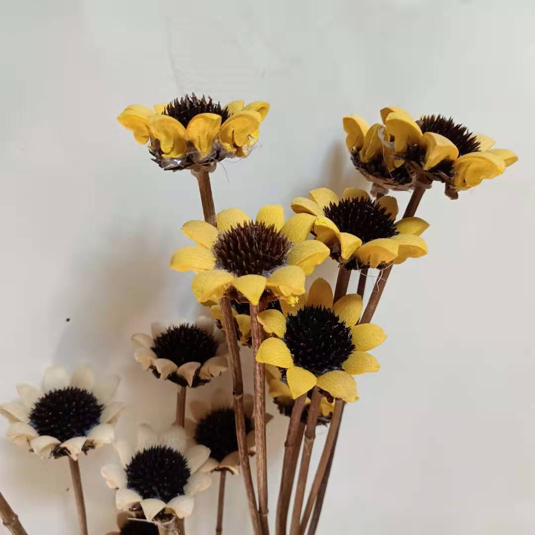 Small Sunflower