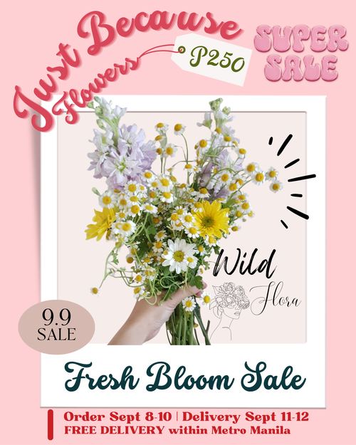 9.9 Fresh Bloom Surprise Bouquet – Just Because Flowers