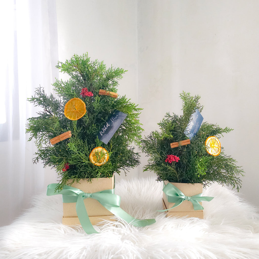 Fresh Christmas Pine Table Tops