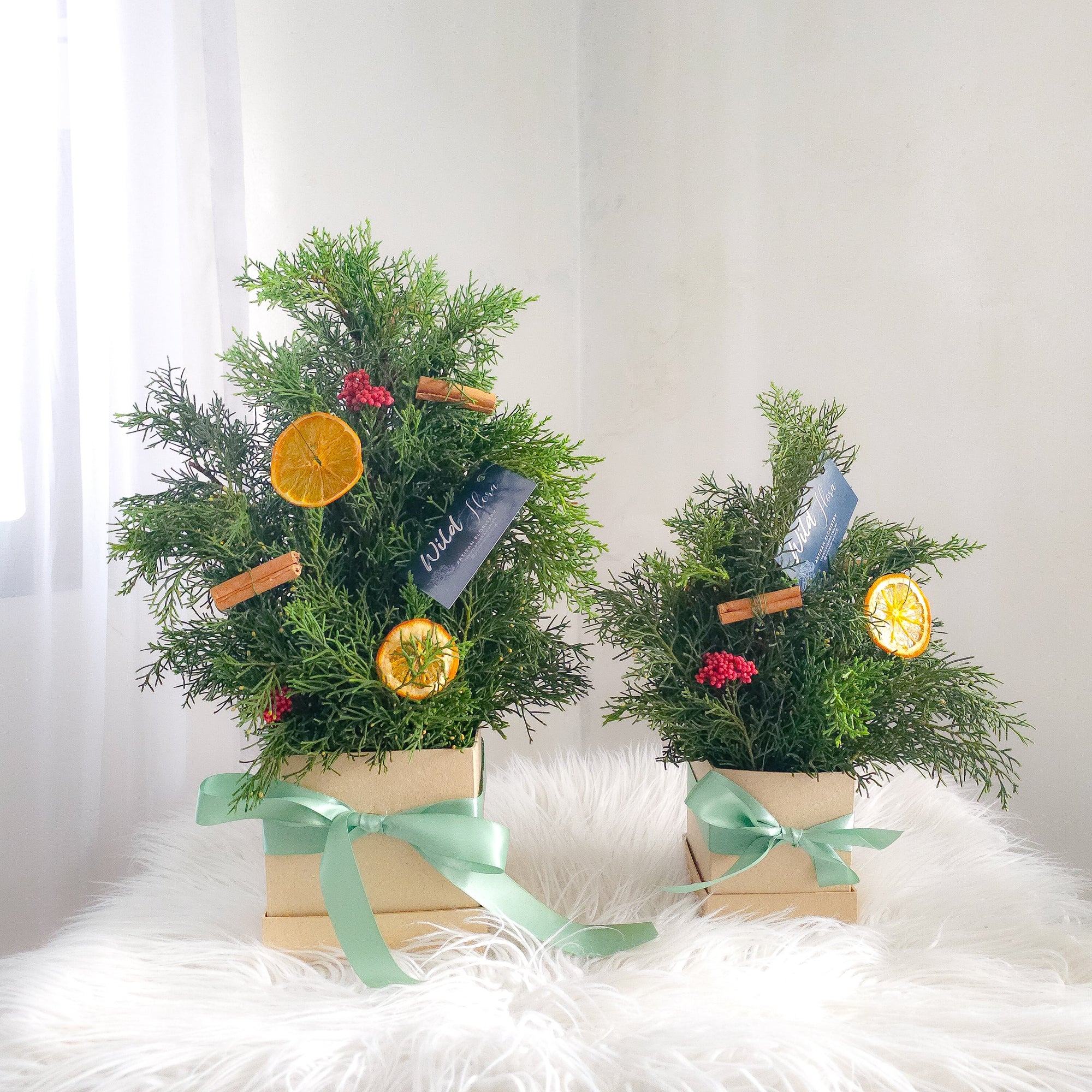 Fresh Christmas Pine Table Tops