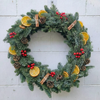 Fresh Abies Nobilis Pine