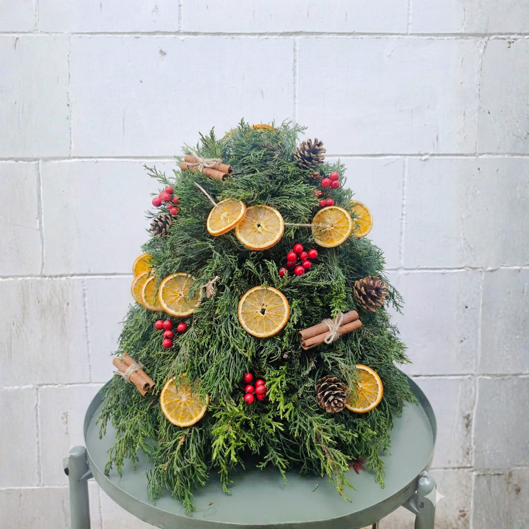 Fresh Cypress Pine Mini Tree