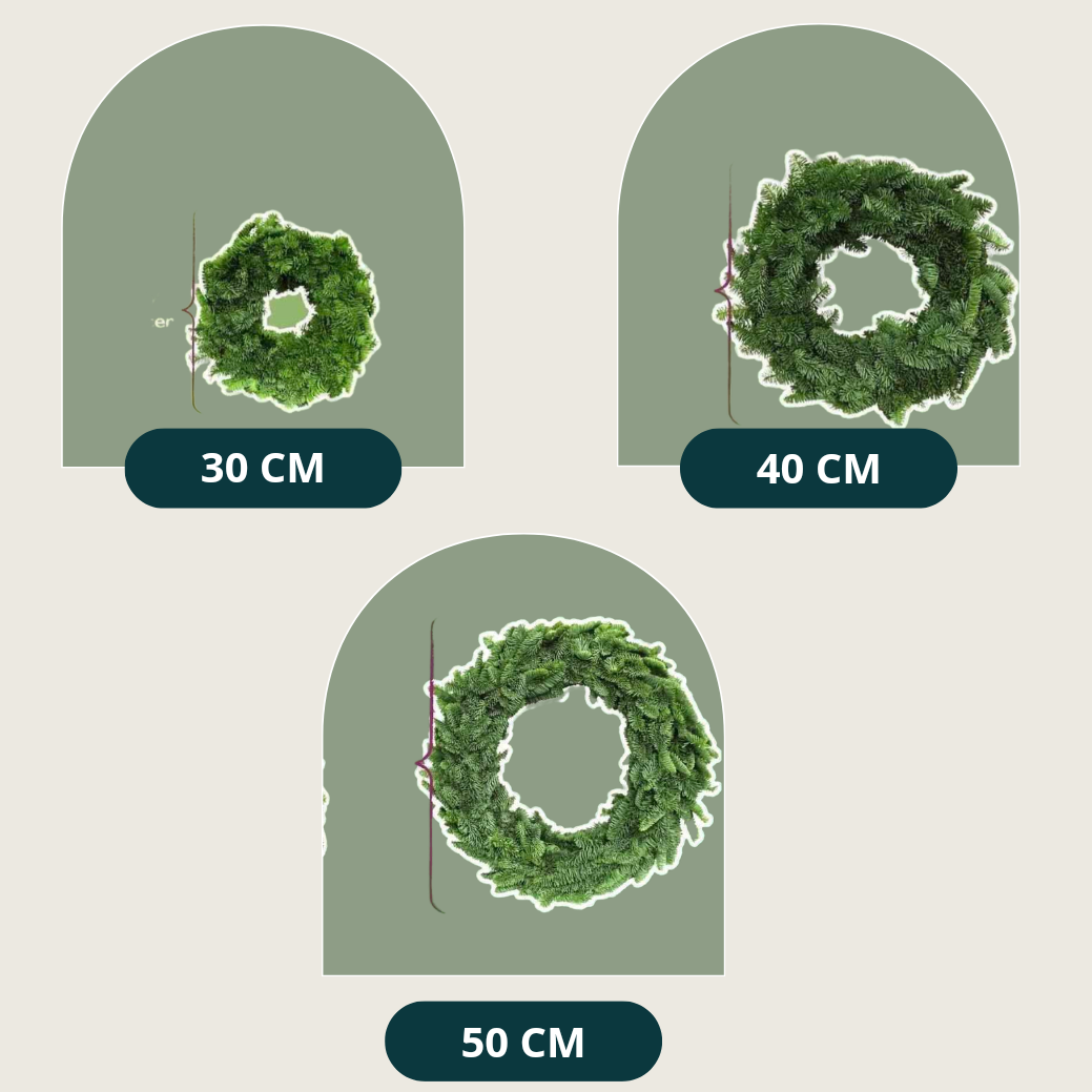 Fresh Abies Nobilis Pine