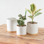 Nordic White Ceramic Pots