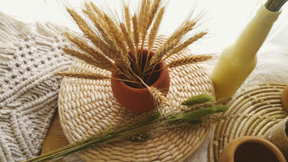 Terracotta Pots