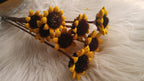 Small Sunflower