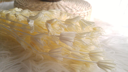 Nigella