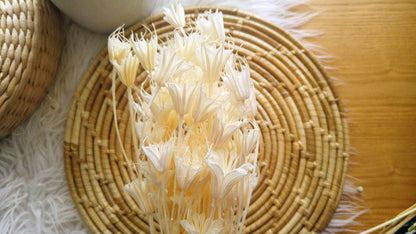Nigella