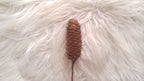 Pine Cones