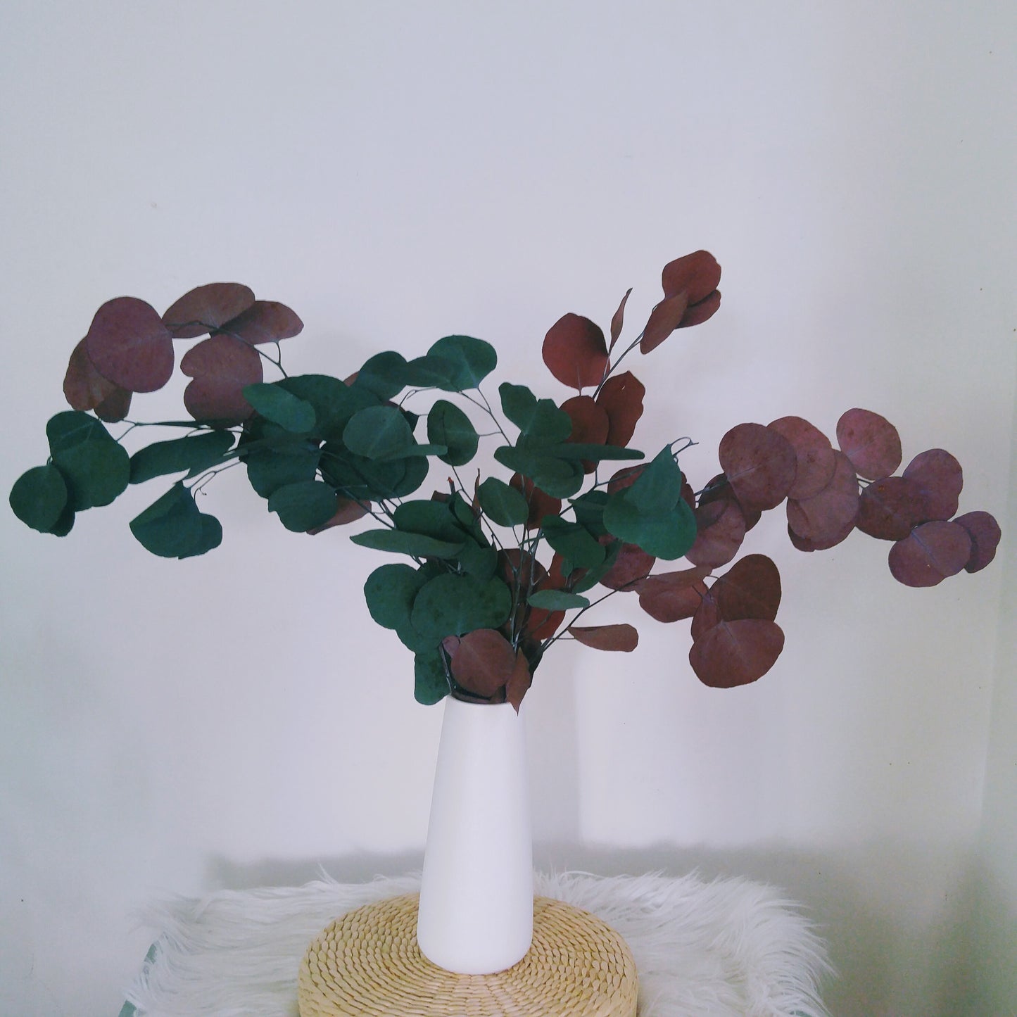 Silver Dollar Eucalyptus