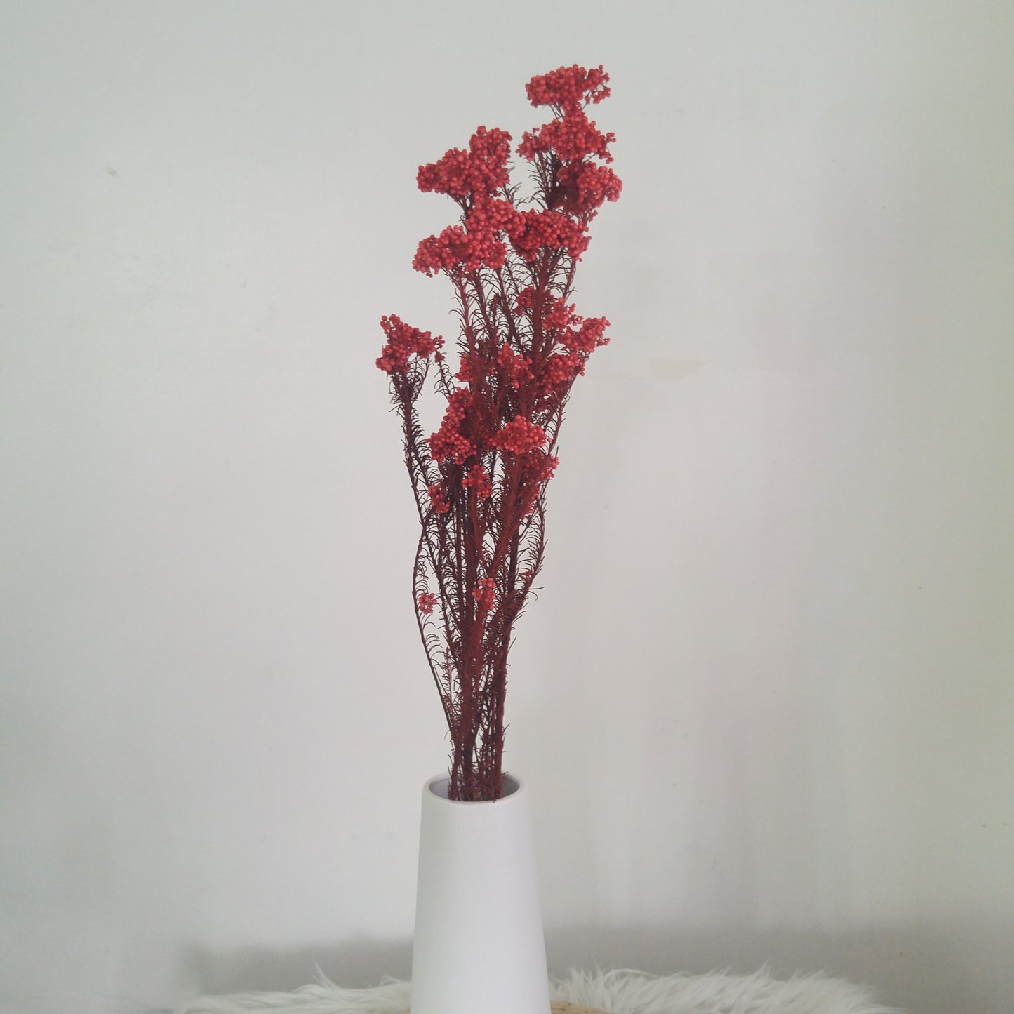 Rice Flower