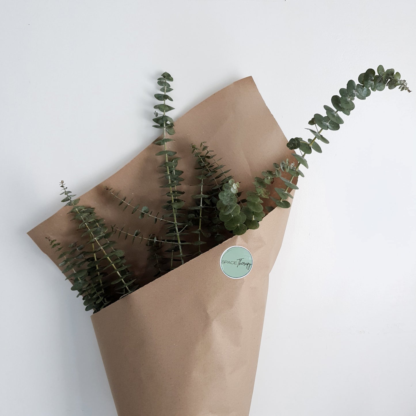 Eucalyptus