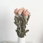 Dried Roses