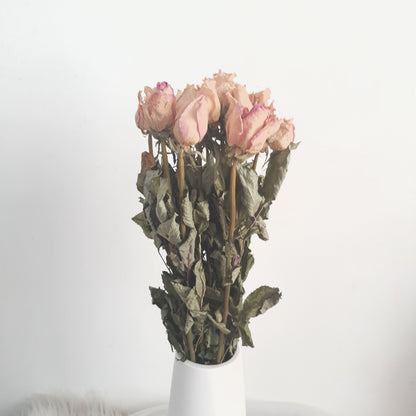 Dried Roses