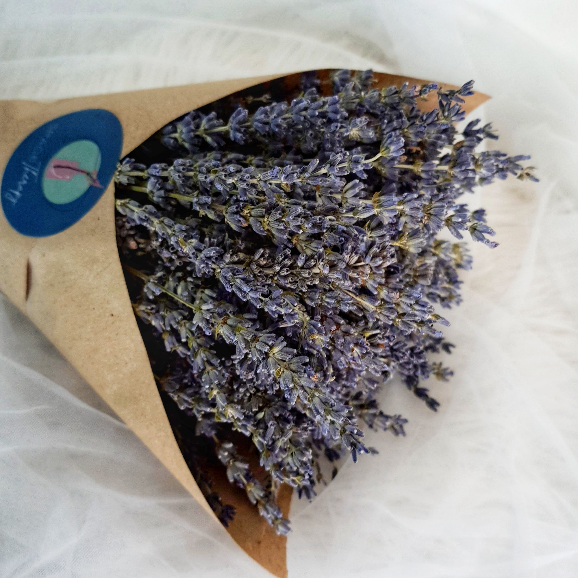 Dried Lavender