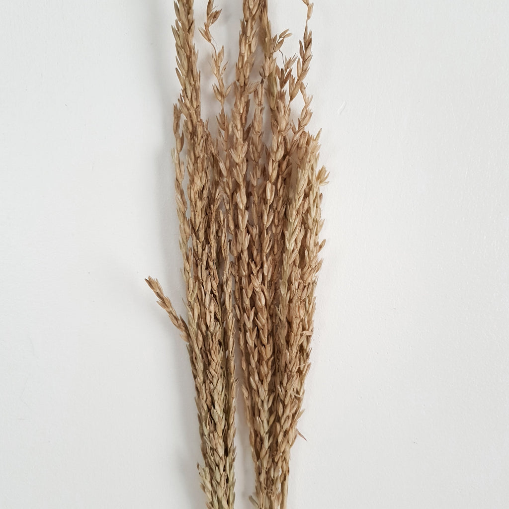 Wheat