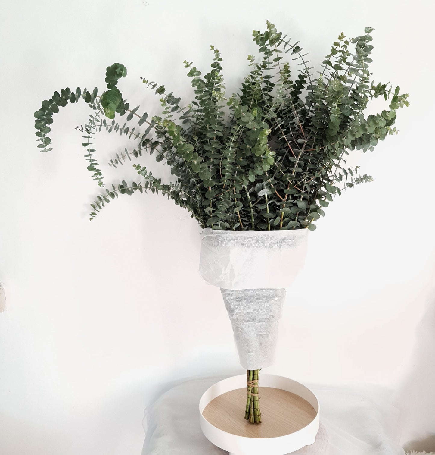 Eucalyptus