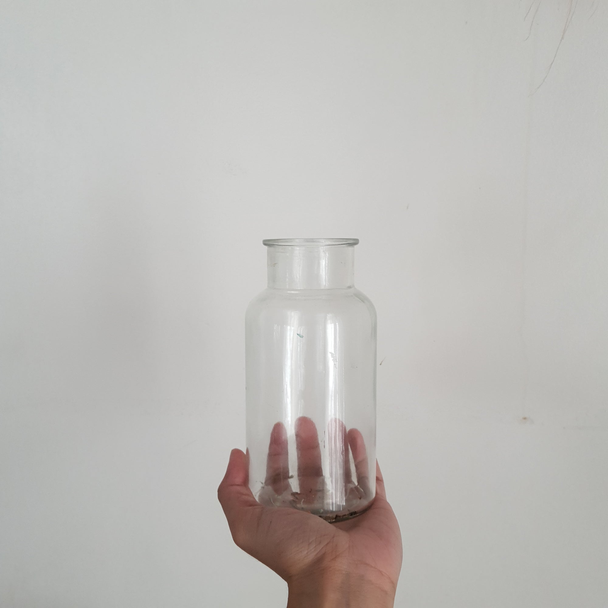 Clear Vintage Vases
