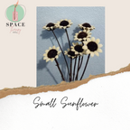 Small Sunflower