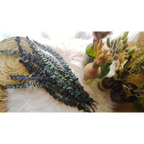 Preserved Eucalyptus (True Blue)