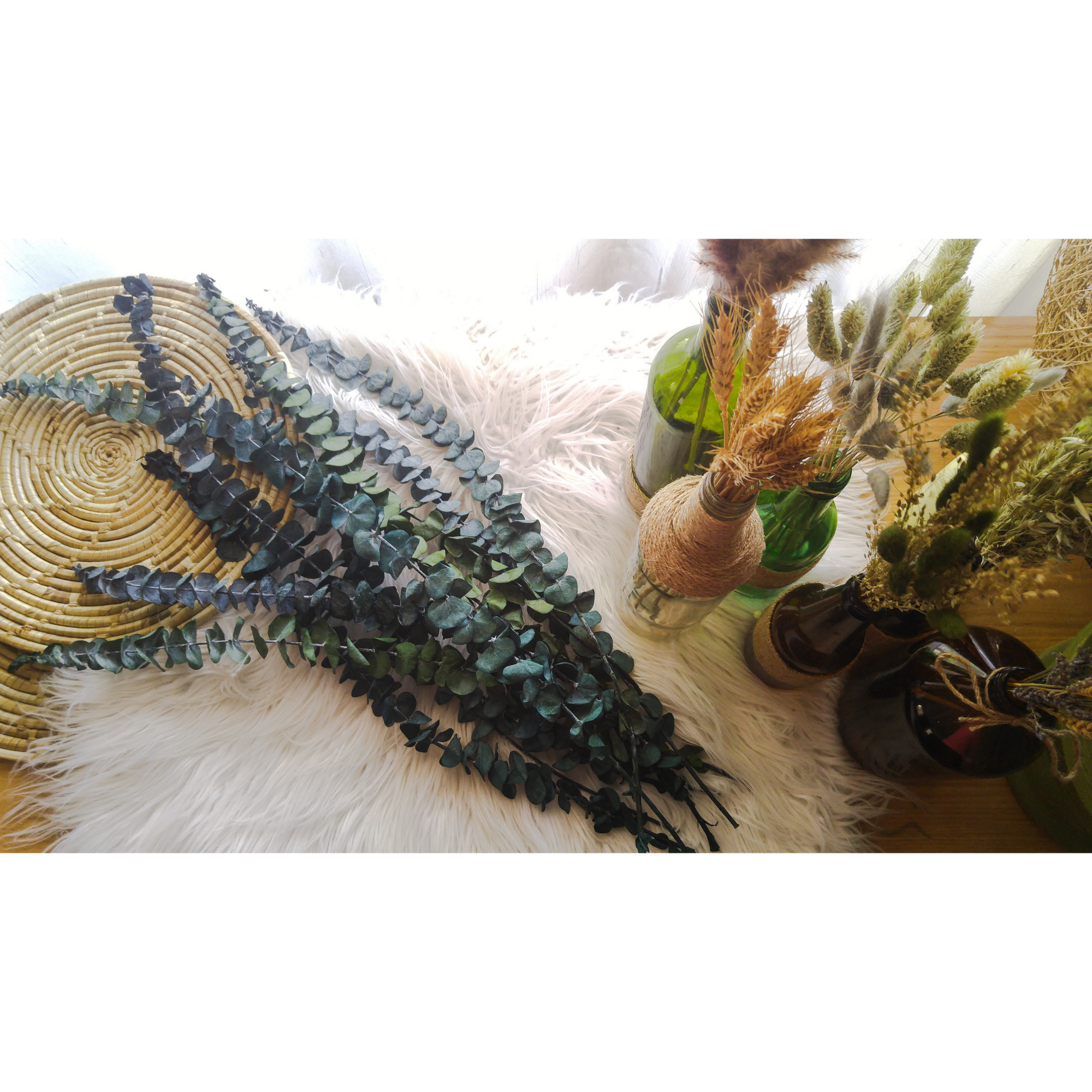 Preserved Eucalyptus (True Blue)