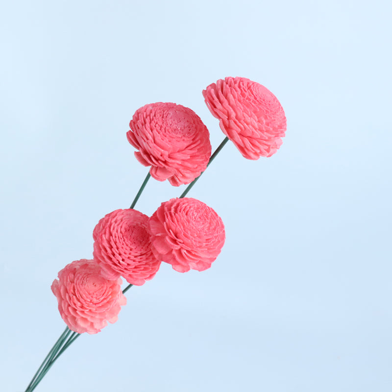 Sola Wooden Flower