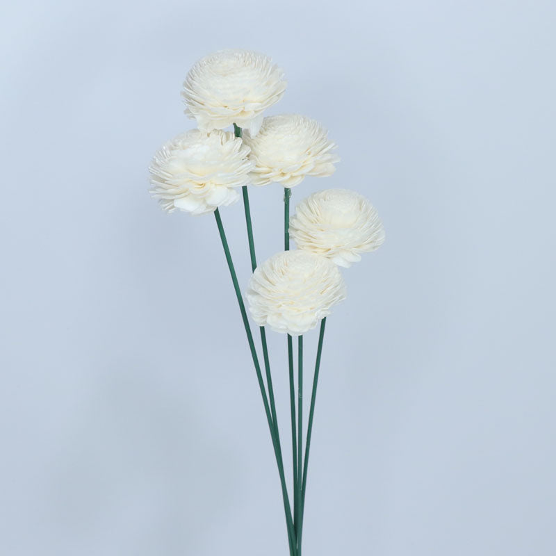 Sola Wooden Flower