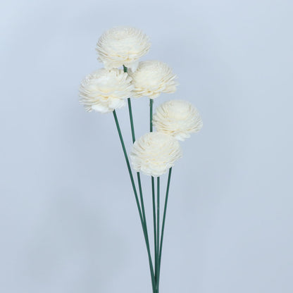 Sola Wooden Flower