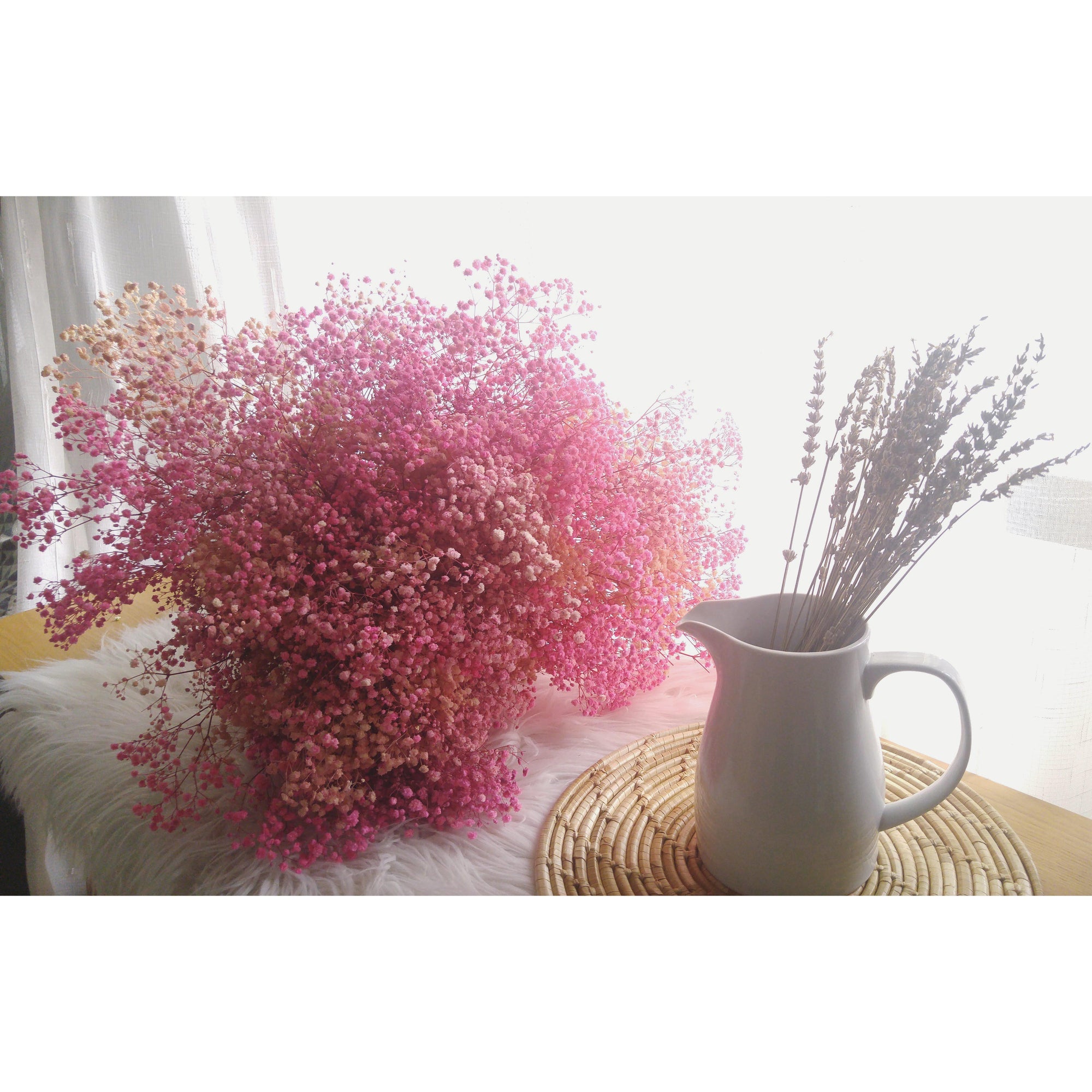 Gypsophila (Baby's Breath)