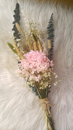 Hyacinth