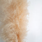 Veniz Cortaderia Ivory Pampas