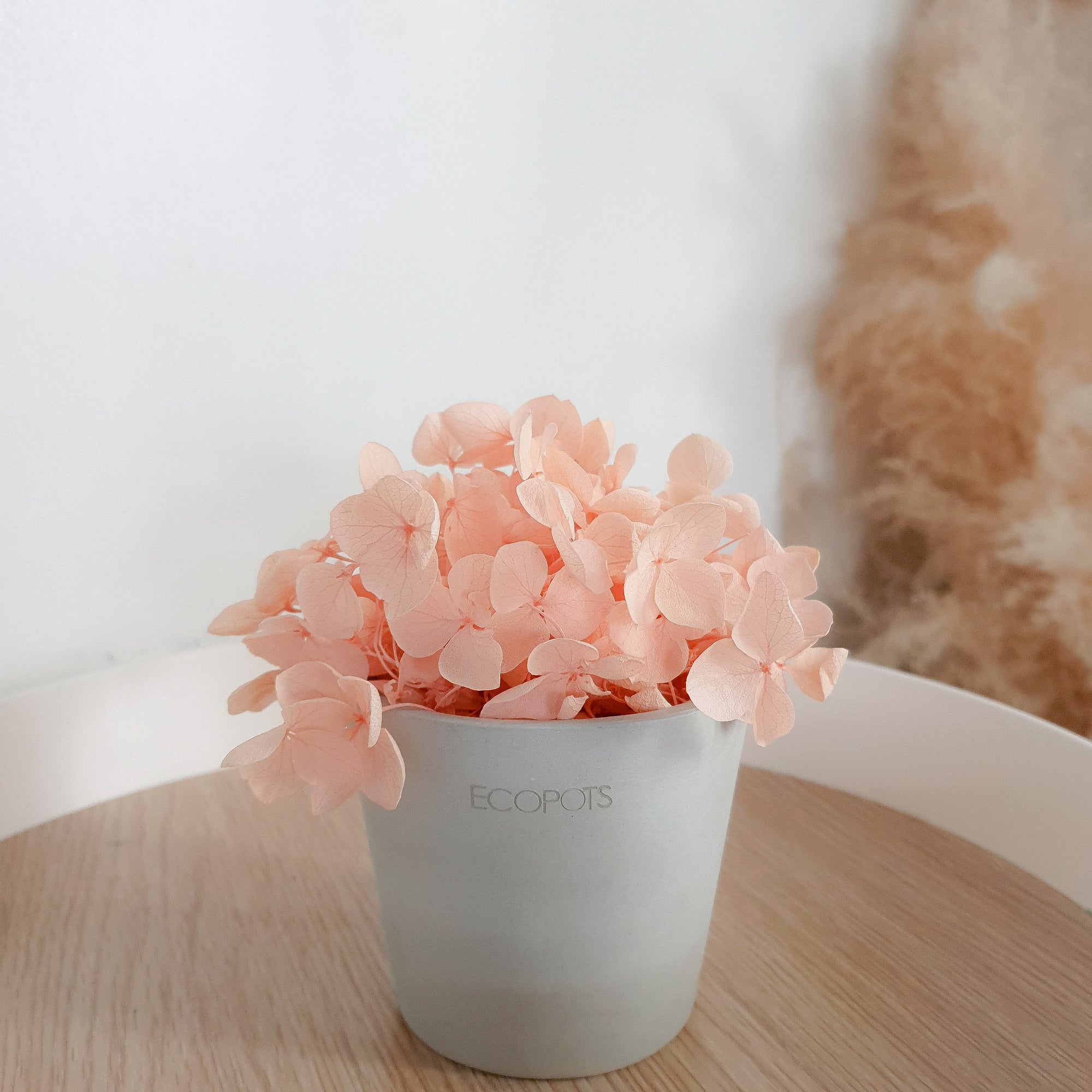 Peach Hydrangeas Petite Posy Pot