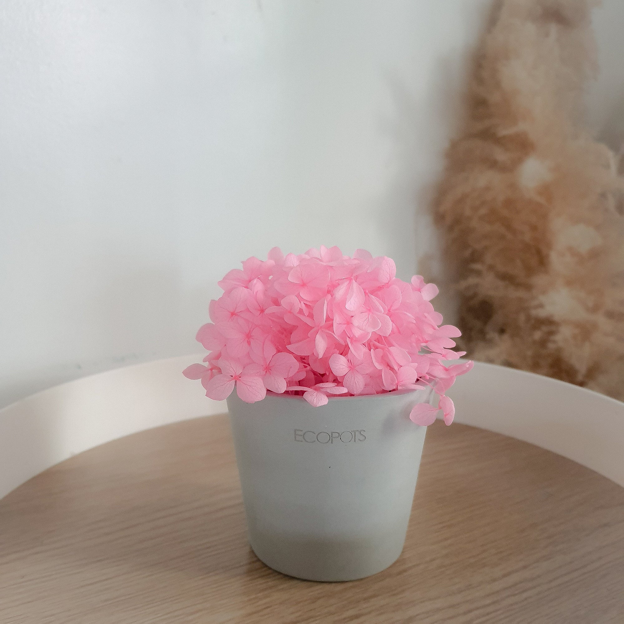 Pink Hydrangeas Petite Posy Pot