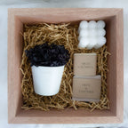 Black Hydrangeas Petite Posy Pot