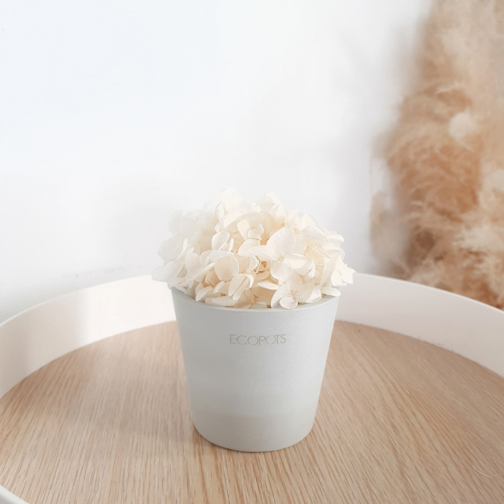 White Hydrangeas Petite Posy Pot