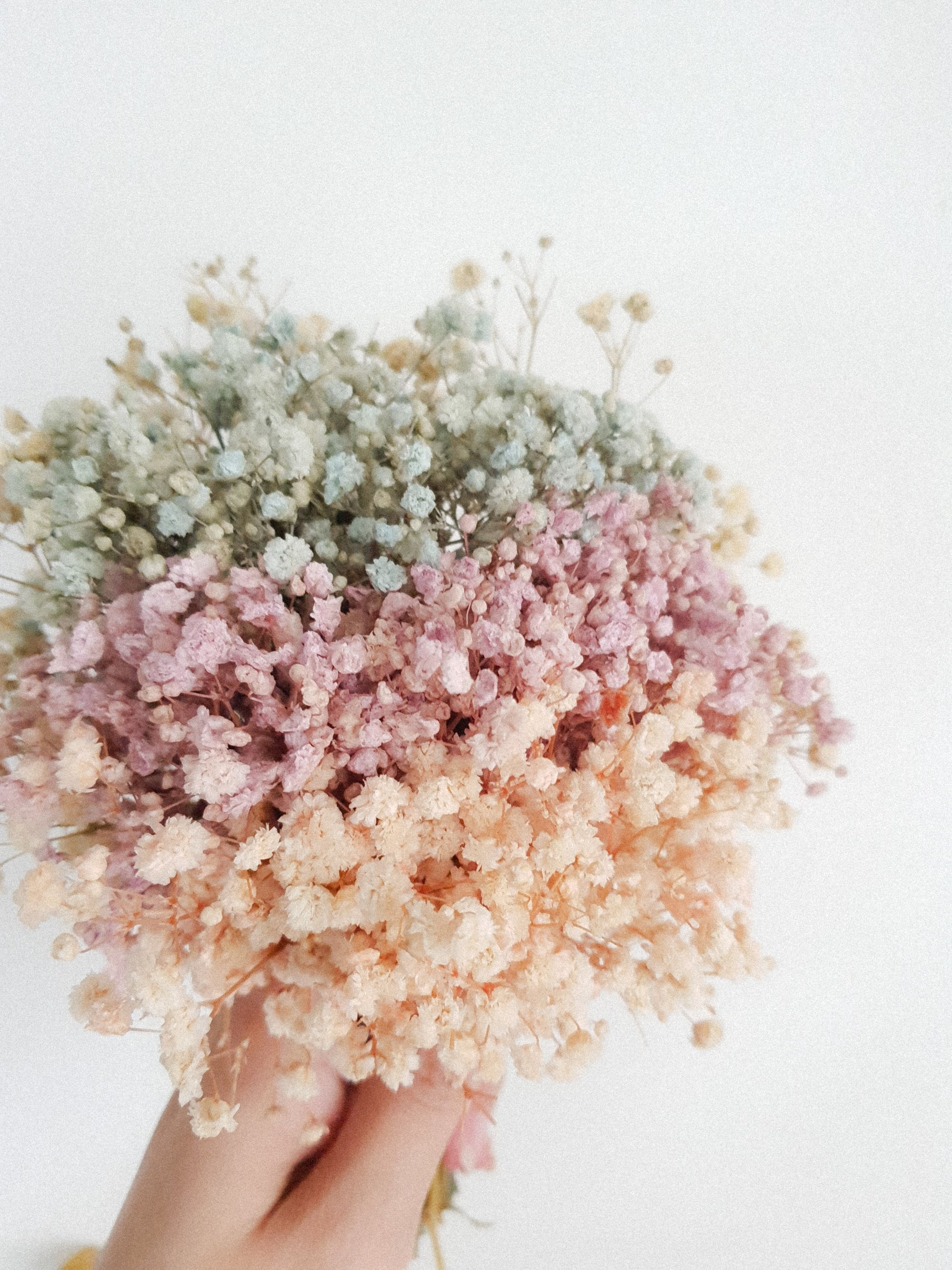 Cloudy Posy