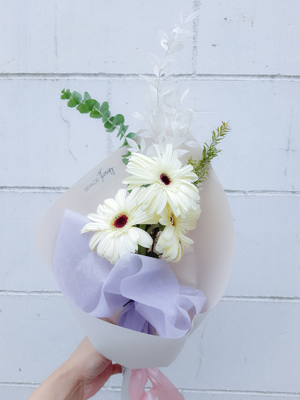 Gerbera Daisies