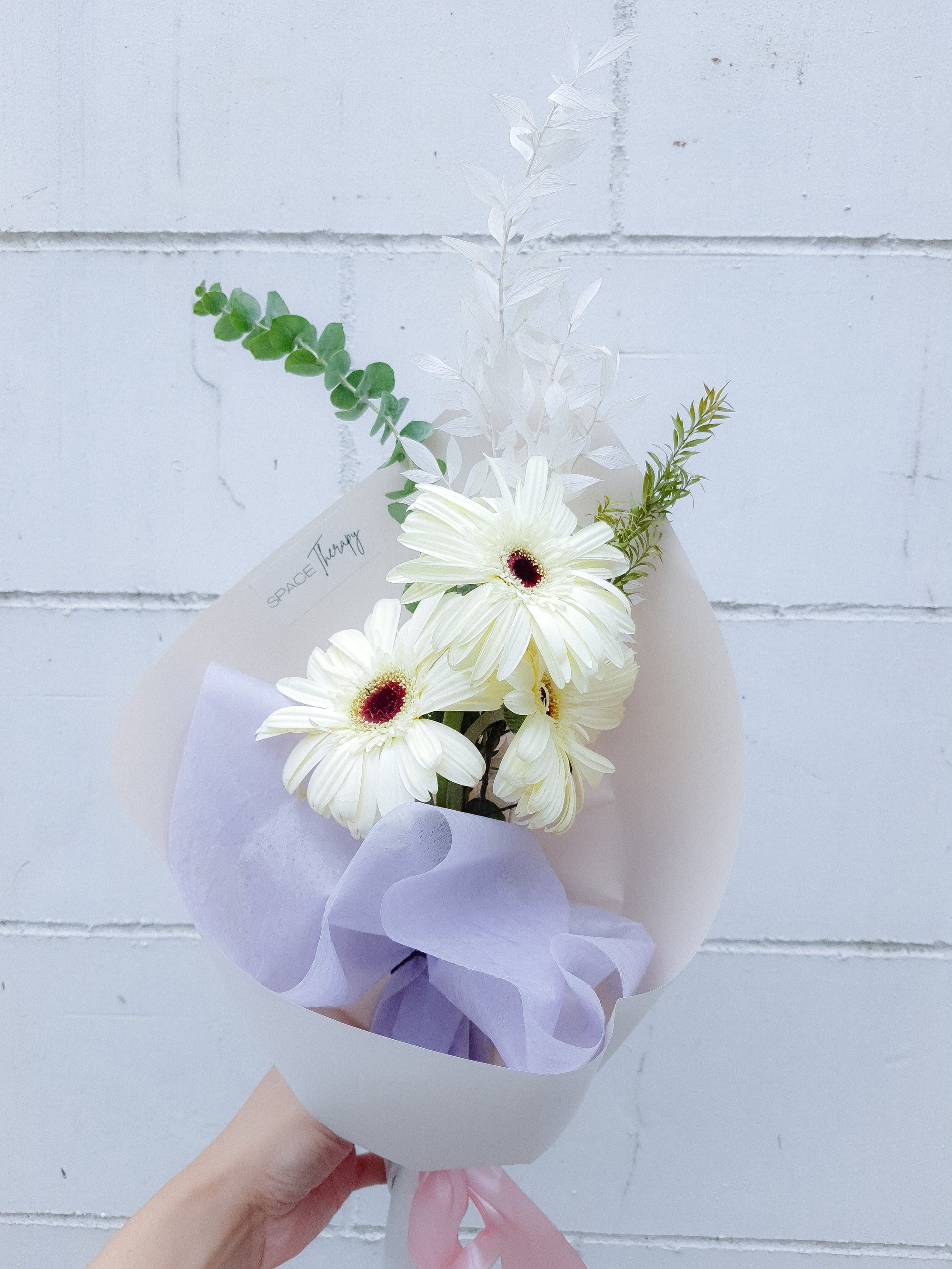 Gerbera Daisies