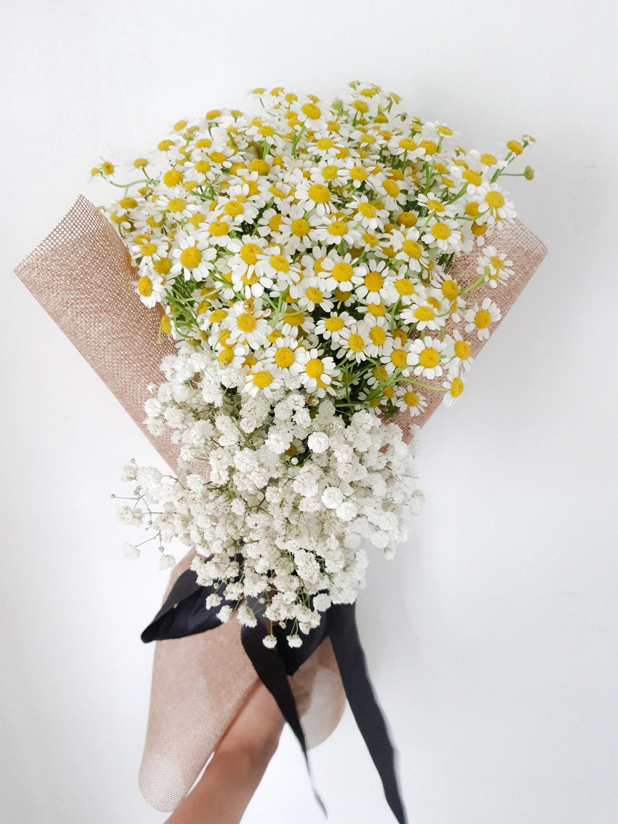 Sweet Chamomile