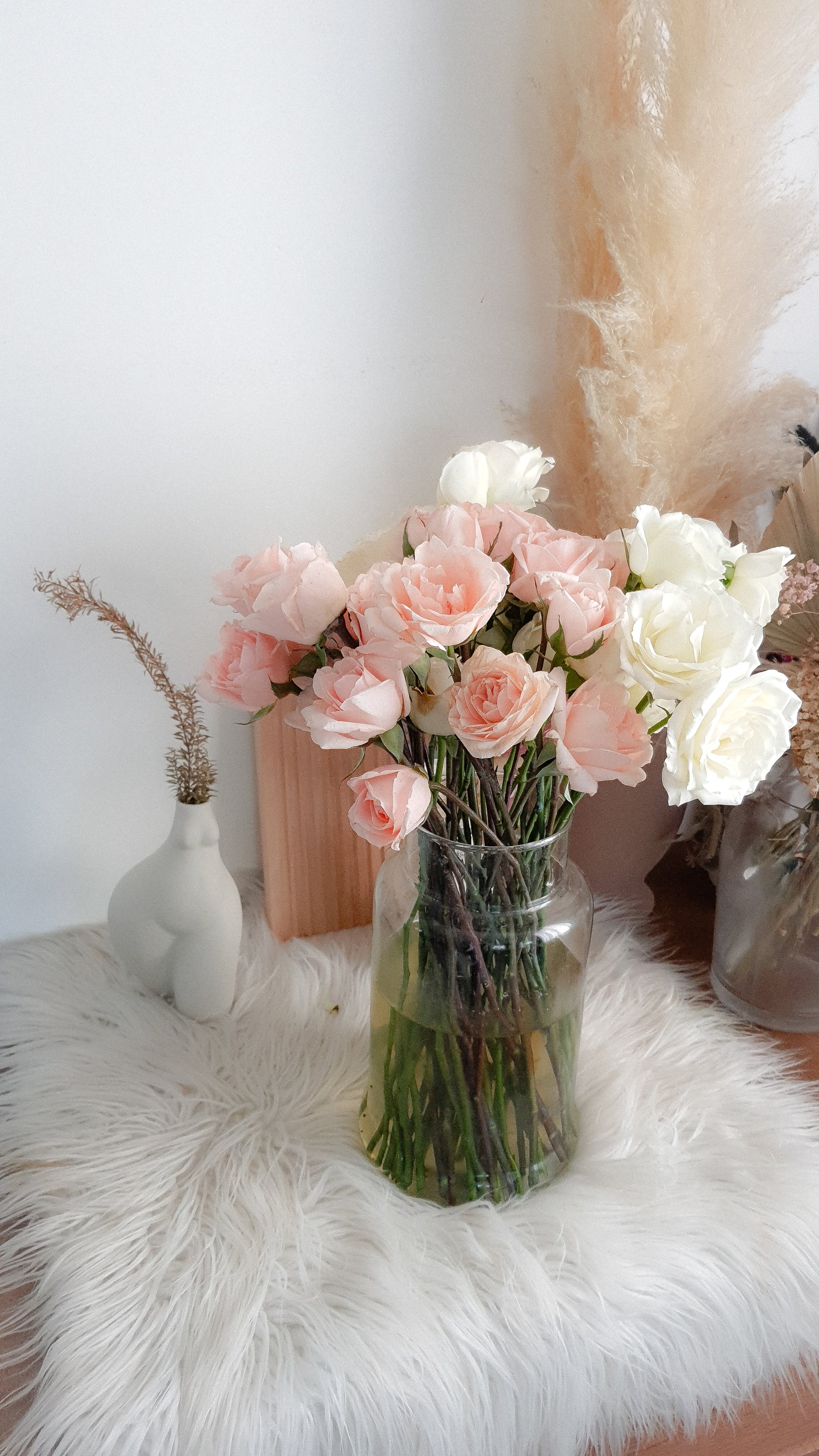 Classic Benguet Roses