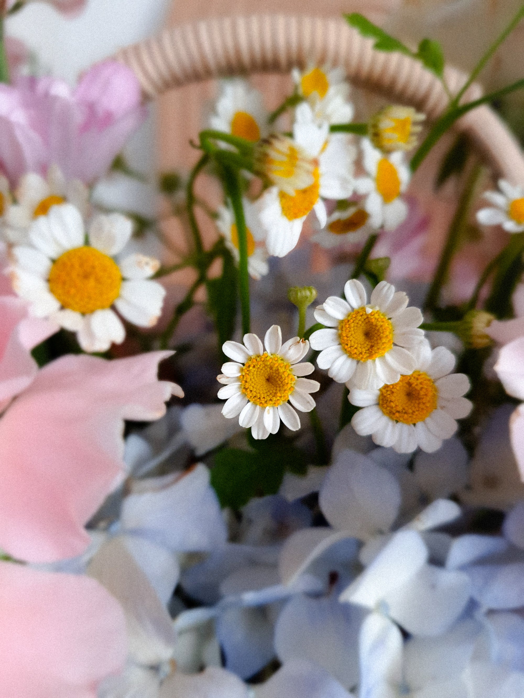 Florist Choice - Basket of Love