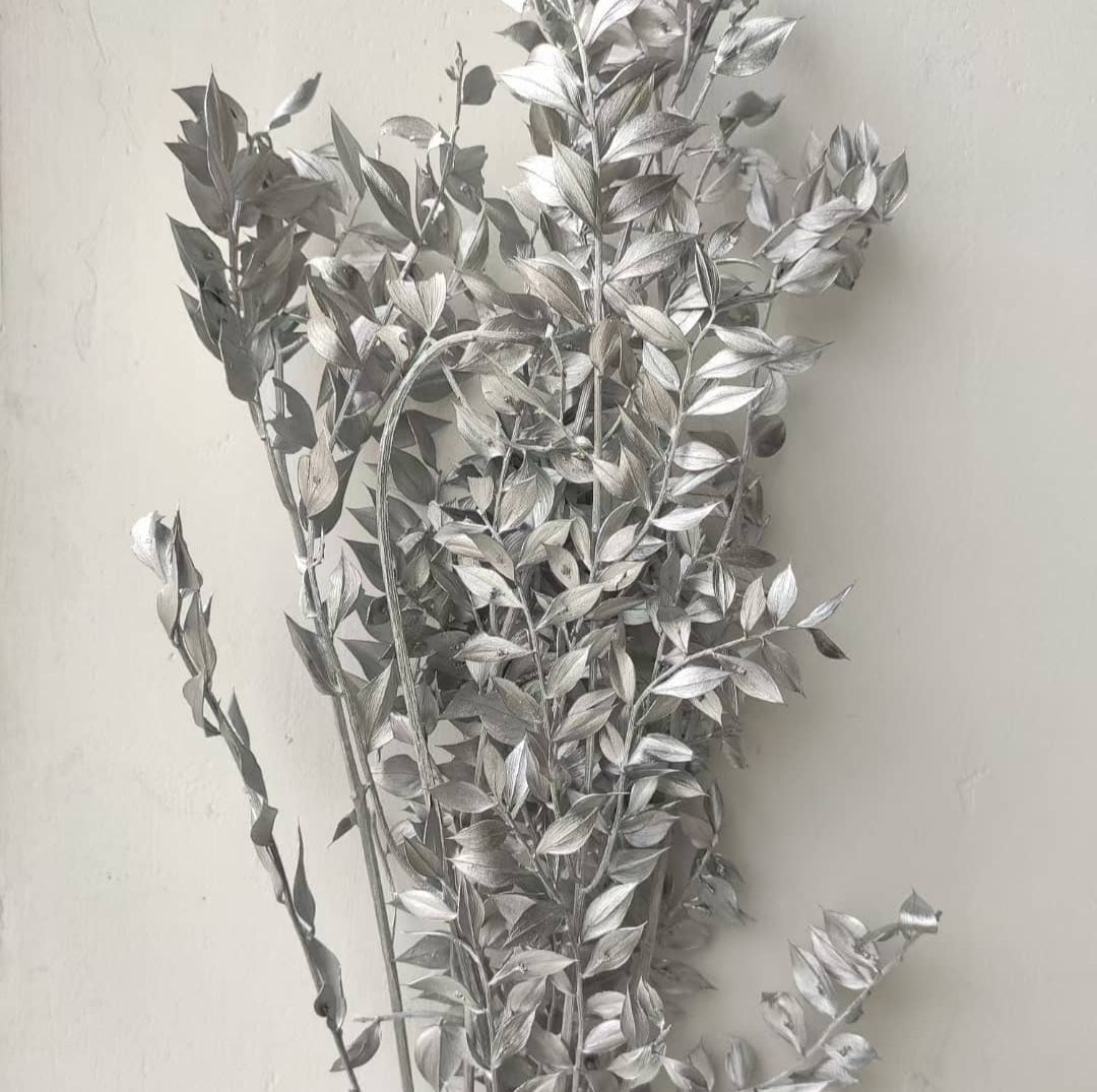 Ruscus